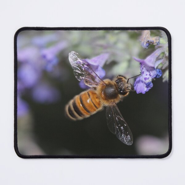 Item preview, Flying Honeybee designed and sold by photosbyastra.