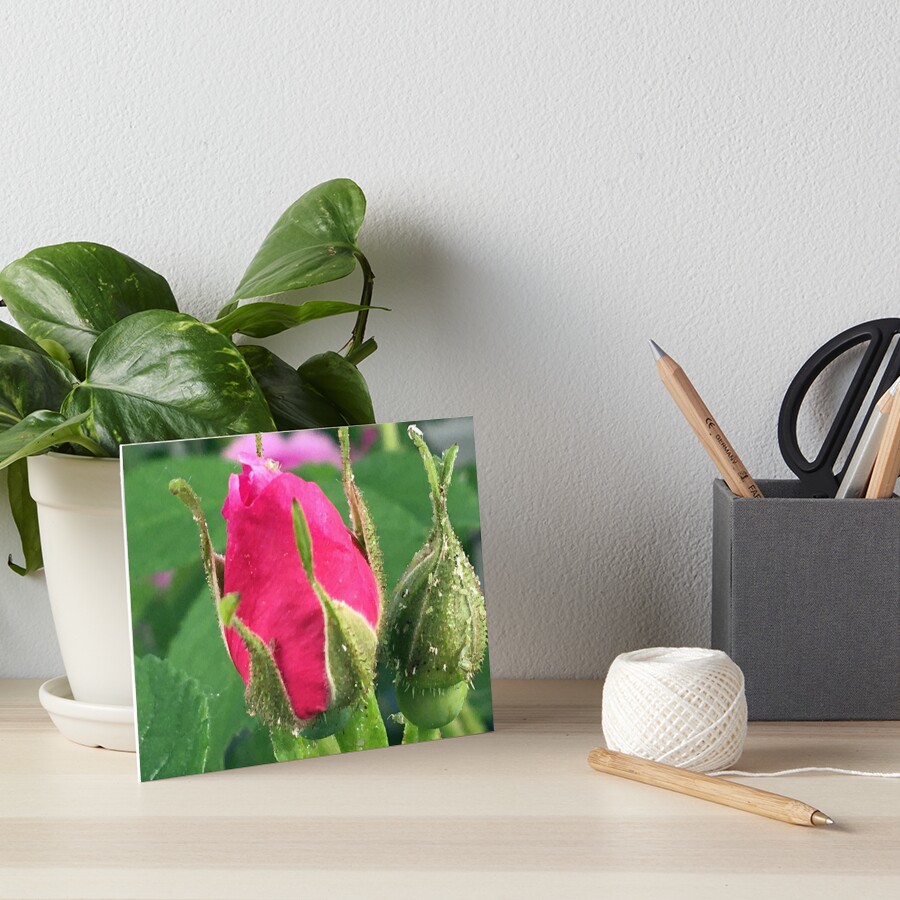 Item preview, Art Board Print designed and sold by Ric1926.