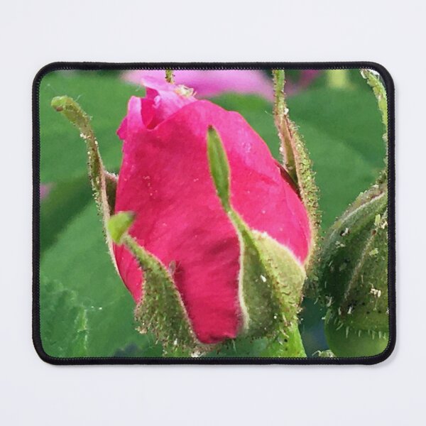 Item preview, Rose Bud designed and sold by Ric1926.
