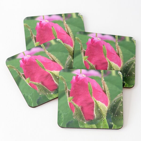 Item preview, Rose Bud designed and sold by Ric1926.