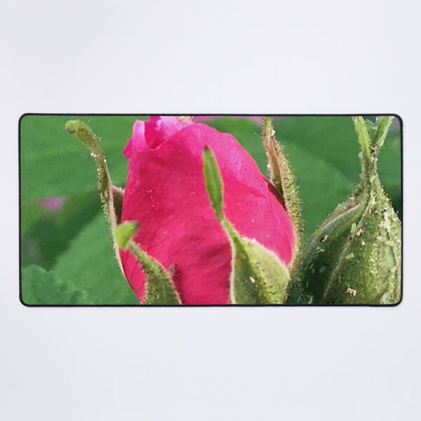Item preview, Rose Bud designed and sold by Ric1926.