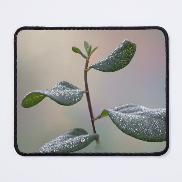 Item preview, Morning Dew  designed and sold by Elisabeth Lucas.