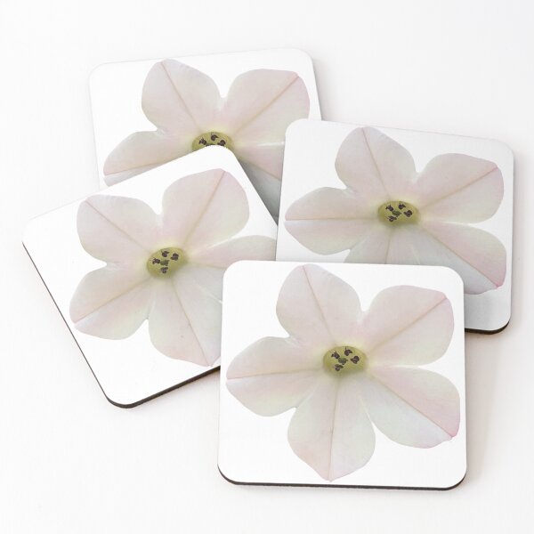 Item preview, Blanca Nicotiana Flor Bodegón Fotografía Floral designed and sold by CottoVerdi.