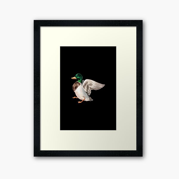 drawing Mallard Framed Art Print