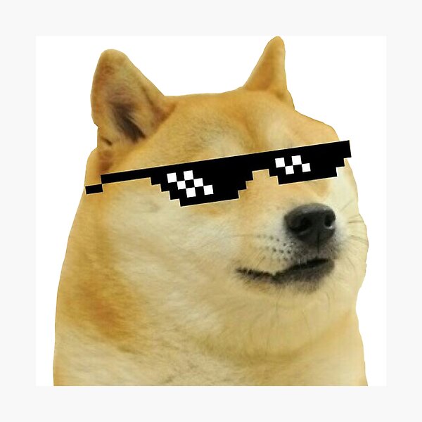 Picture Of Rainbow Roblox Doge