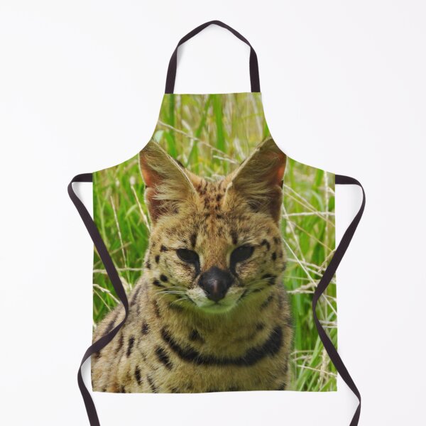 Item preview, A Stunning Serval designed and sold by Karen Thomson.