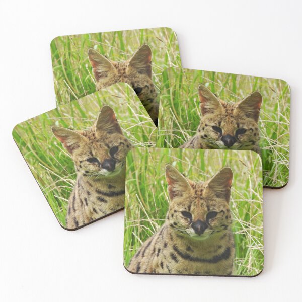 Item preview, A Stunning Serval designed and sold by Karen Thomson.