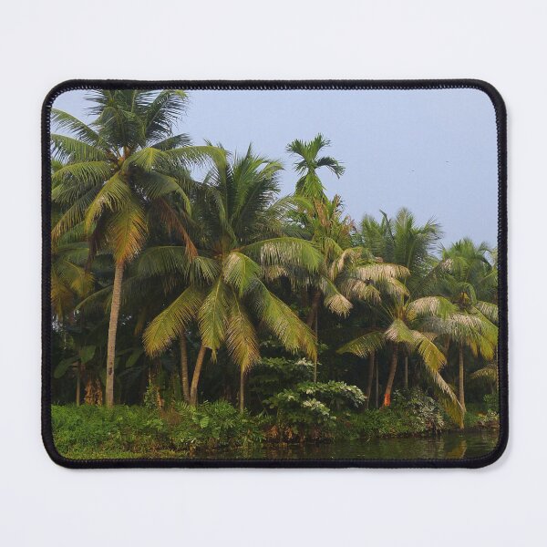 Item preview, Palm Trees River Bank Landscape, Kerala, India designed and sold by worldways.