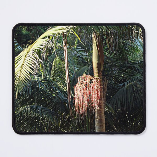 Item preview, Palm Trees, Palm Tree Fruit designed and sold by worldways.