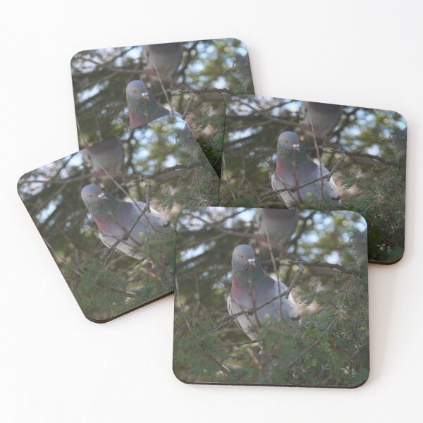 Item preview, Pigeon bird perching on a pine tree designed and sold by Anna Lemos.