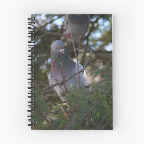 Item preview, Pigeon bird perching on a pine tree designed and sold by Anna Lemos.