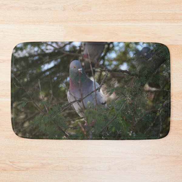 Item preview, Pigeon bird perching on a pine tree designed and sold by Anna Lemos.