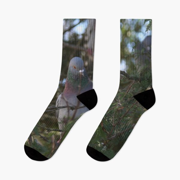 Item preview, Pigeon bird perching on a pine tree designed and sold by Anna Lemos.