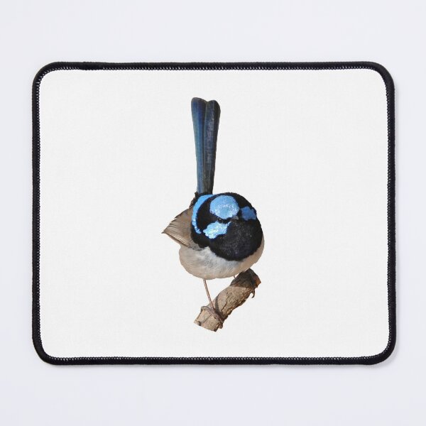 Superb Fairy-wren male Mouse Pad