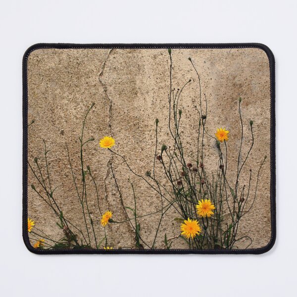 Item preview, Grunge wall with yellow daisies designed and sold by Anna Lemos.