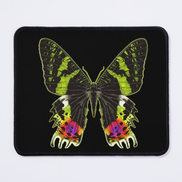 Item preview, Rainbow Catcher Butterfly designed and sold by Garaga.
