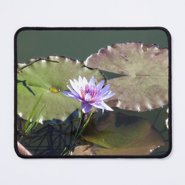 Item preview, Water Lilie Flower Pond  designed and sold by worldways.