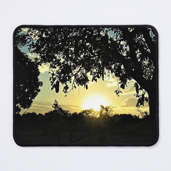 Item preview, Sunset Forest Silhouette Trees designed and sold by worldways.