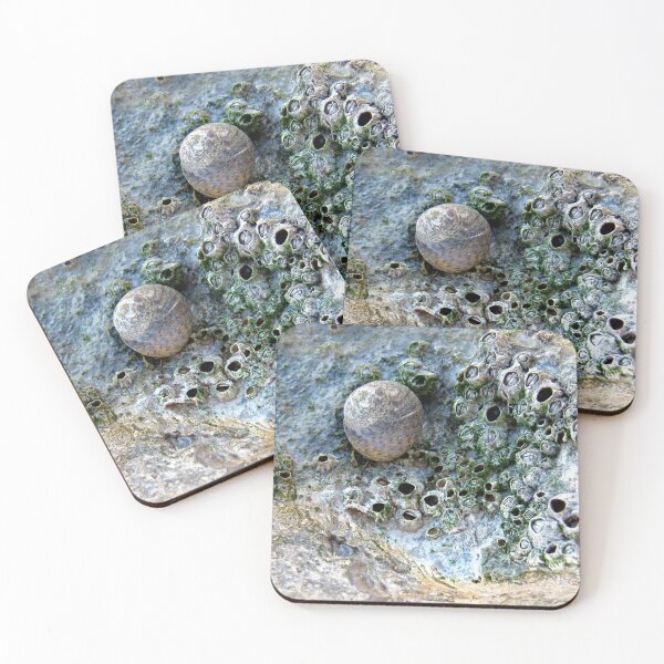 Item preview, Nacre Rock with Sea Snail designed and sold by Anna Lemos.