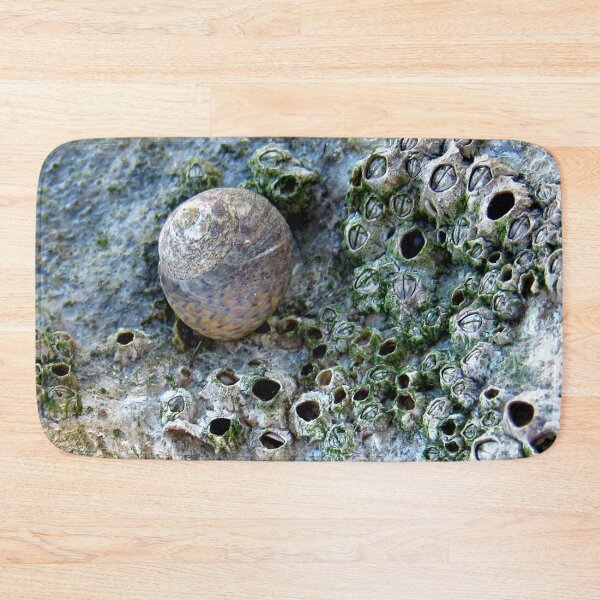 Item preview, Nacre Rock with Sea Snail designed and sold by Anna Lemos.