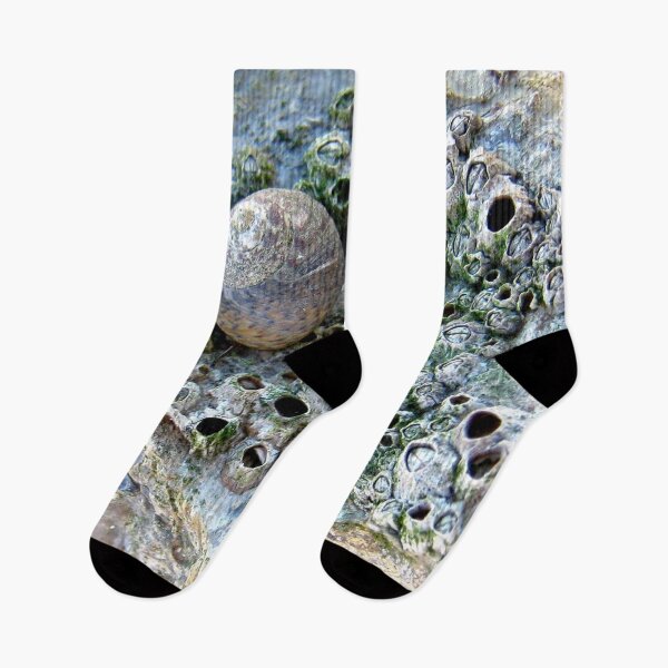 Item preview, Nacre Rock with Sea Snail designed and sold by Anna Lemos.