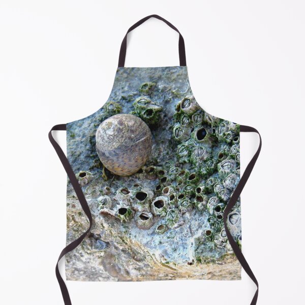 Item preview, Nacre Rock with Sea Snail designed and sold by Anna Lemos.