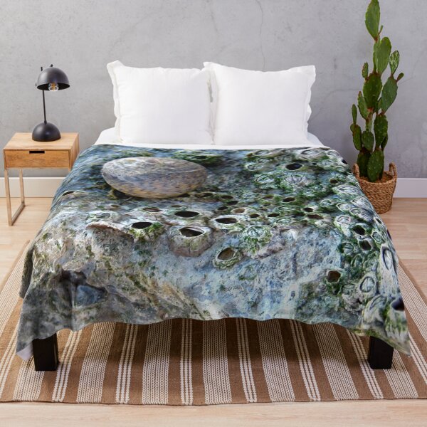 Item preview, Nacre Rock with Sea Snail designed and sold by Anna Lemos.