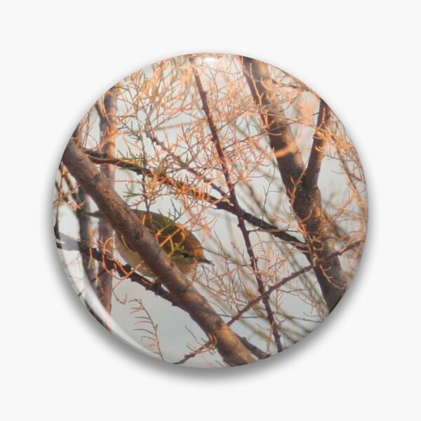 Item preview, Chiffchaff bird perching on a shrub designed and sold by Anna Lemos.