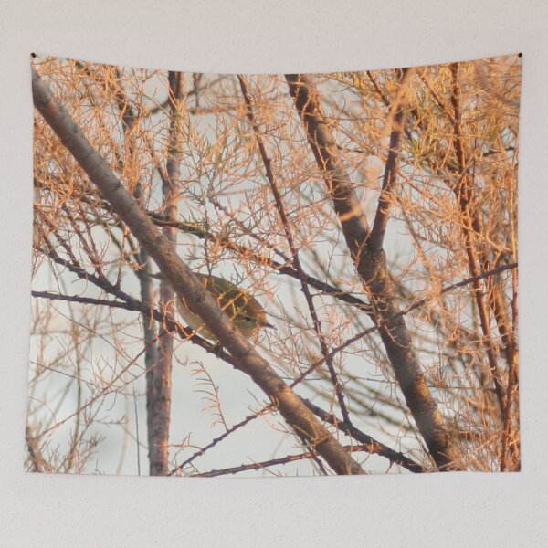 Item preview, Chiffchaff bird perching on a shrub designed and sold by Anna Lemos.