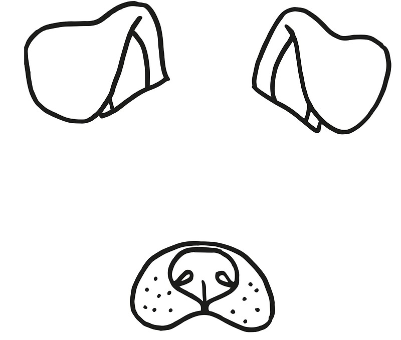 "Snapchat Dog Filter" Art Prints by EMABEE Redbubble