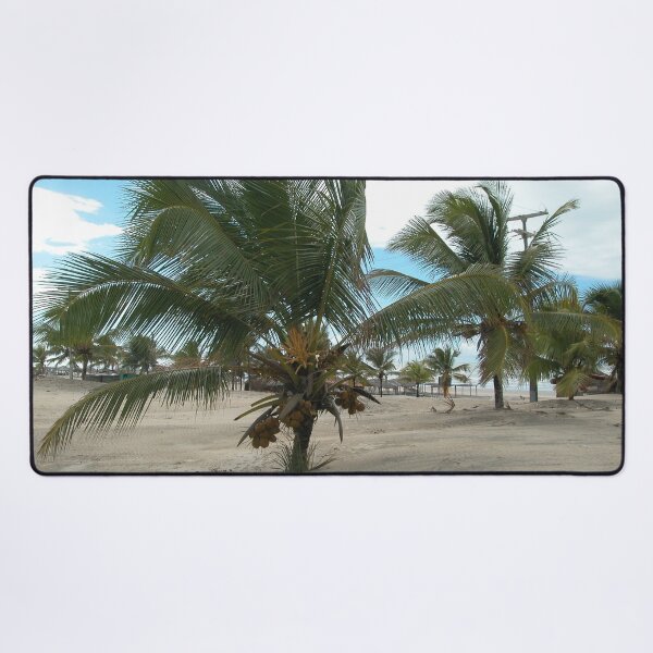Item preview, Coconut Tree Tropical beach Palm trees, Brazil designed and sold by worldways.