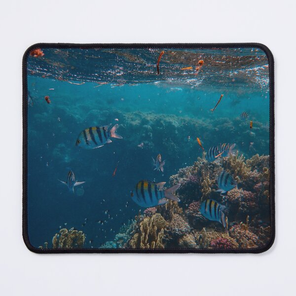 Item preview, Bajo el mar designed and sold by jared williams.