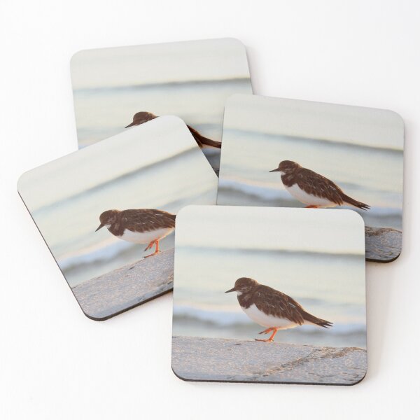 Item preview, Sandpiper bird enjoying some relaxing time by the sea designed and sold by Anna Lemos.