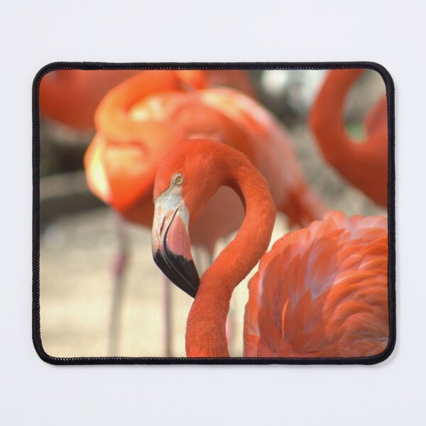 Item preview, Flamingo designed and sold by DRArtPrintables.