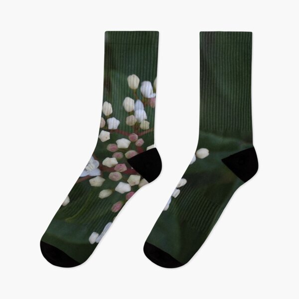 Item preview, Viburnum tinus buds and flowers designed and sold by Anna Lemos.