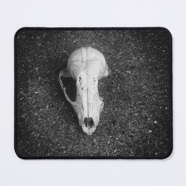 Item preview, Black and White Squirrel Skull designed and sold by mreleganza.