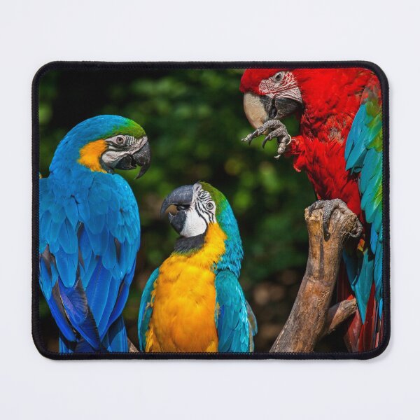 Item preview, The Three Amigos designed and sold by TVD-Photography.