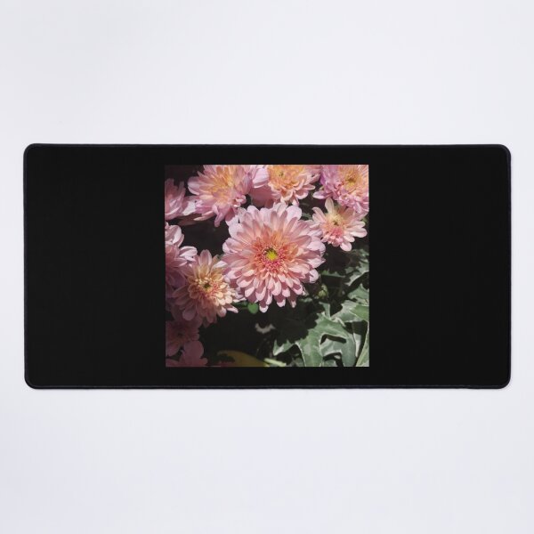 Item preview, Bloomed Pink Dahlia designed and sold by toddbrooney.