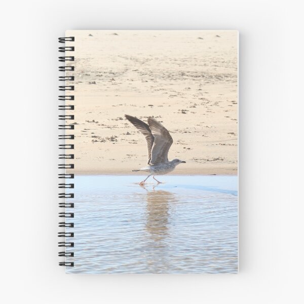Item preview, Seagull bird taking off designed and sold by Anna Lemos.
