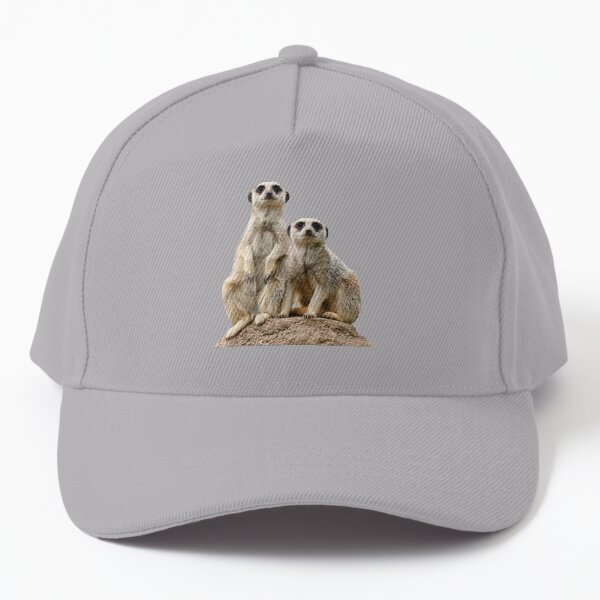 Meerkats Baseball Cap