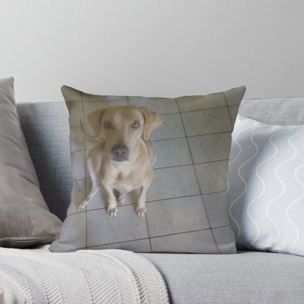 Item preview, Dog stela designed and sold by Bieldogdesigns.
