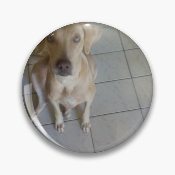 Item preview, Estela de perro designed and sold by Bieldogdesigns.