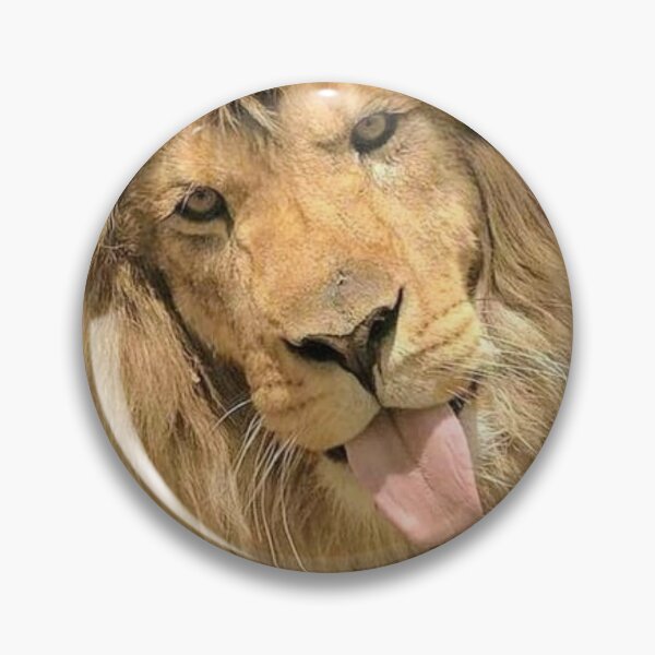 Item preview, Simba photo funny lion designed and sold by Bwaichigo.