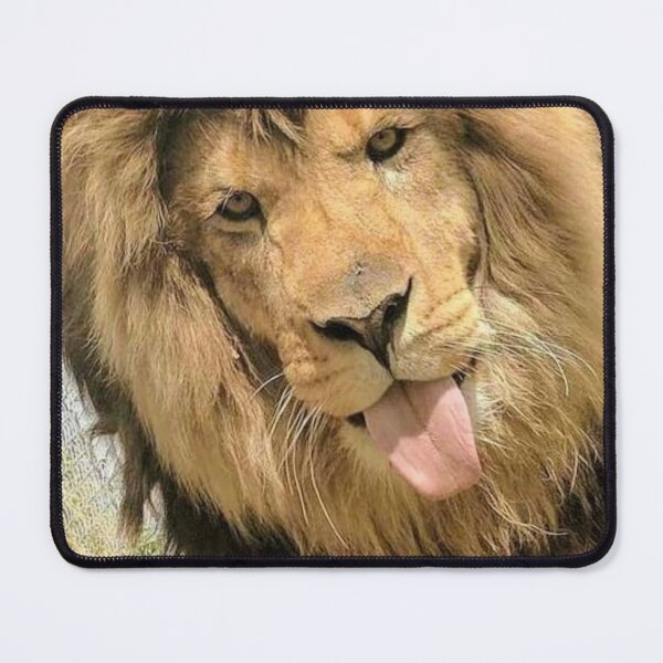 Item preview, Simba photo funny lion designed and sold by Bwaichigo.