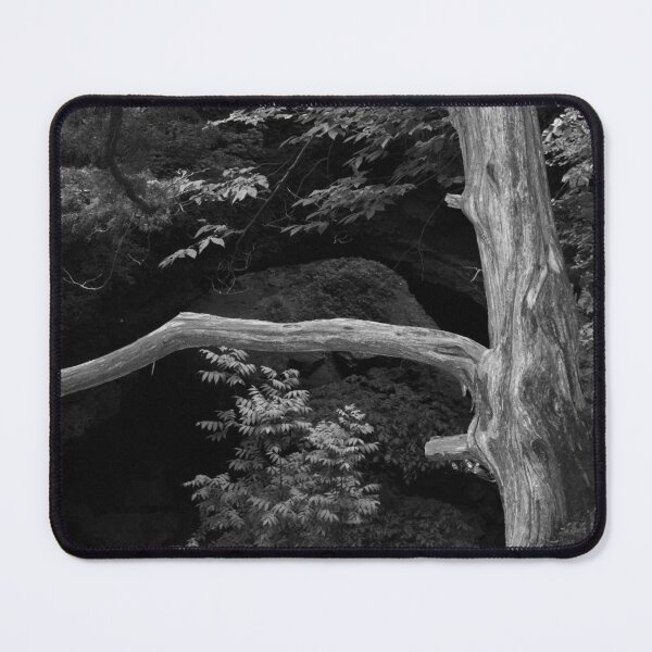 Item preview, Dead Tree Hanging designed and sold by DRArtPrintables.