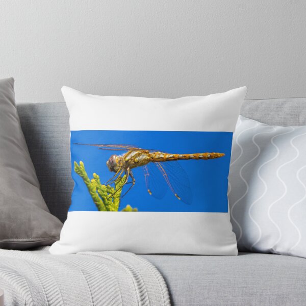 Item preview, Dragonfly designed and sold by RandyHume.