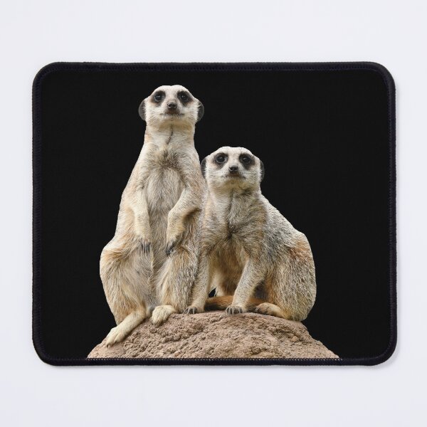Meerkats 4 Mouse Pad