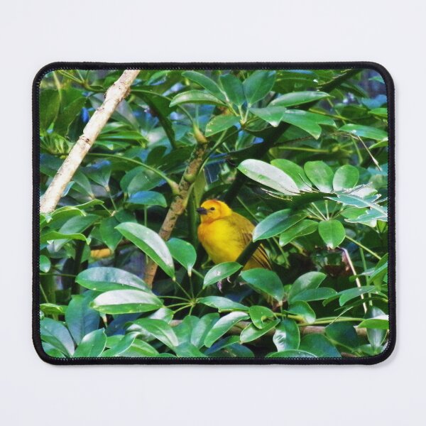 Item preview, Pretty Little Yellow Bird designed and sold by toddbrooney.