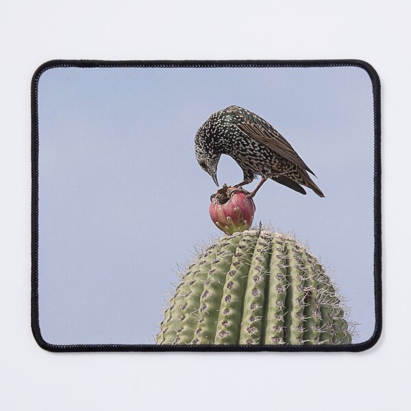 Item preview, Breakfast designed and sold by Elisabeth Lucas.