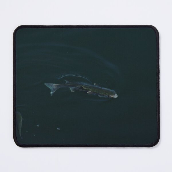 Item preview, Fish Swimming Dark Blue Sea Water designed and sold by worldways.